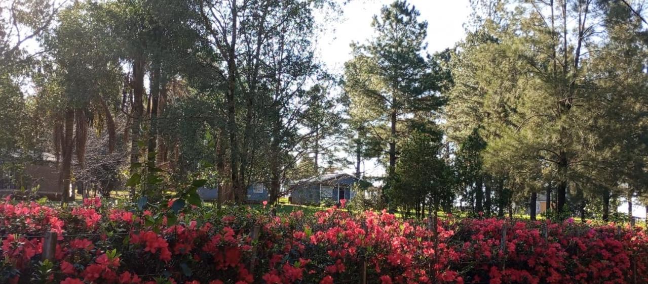 Hotel Las Azaleas Jardín América Eksteriør bilde