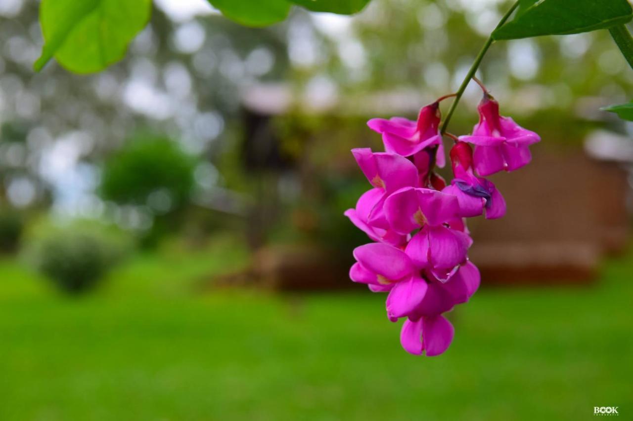 Hotel Las Azaleas Jardín América Eksteriør bilde