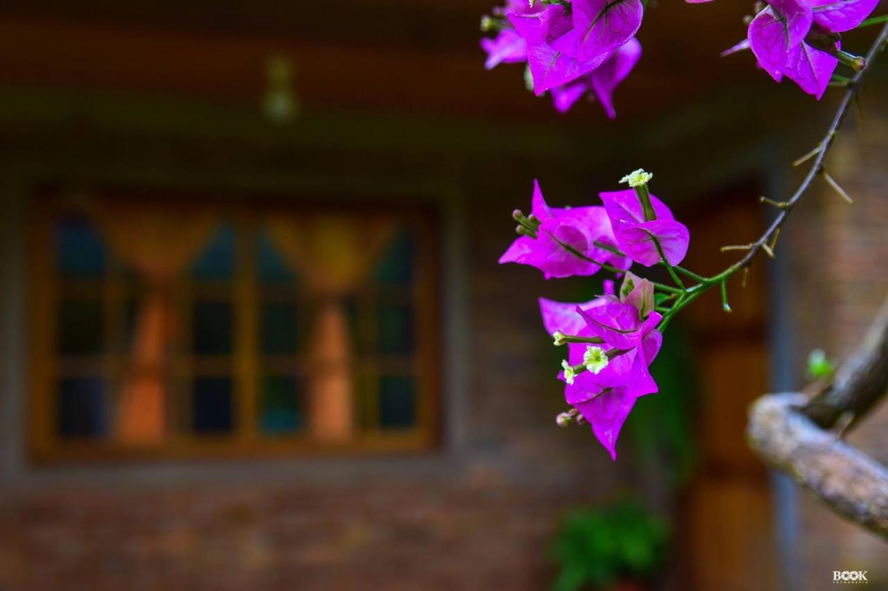 Hotel Las Azaleas Jardín América Eksteriør bilde