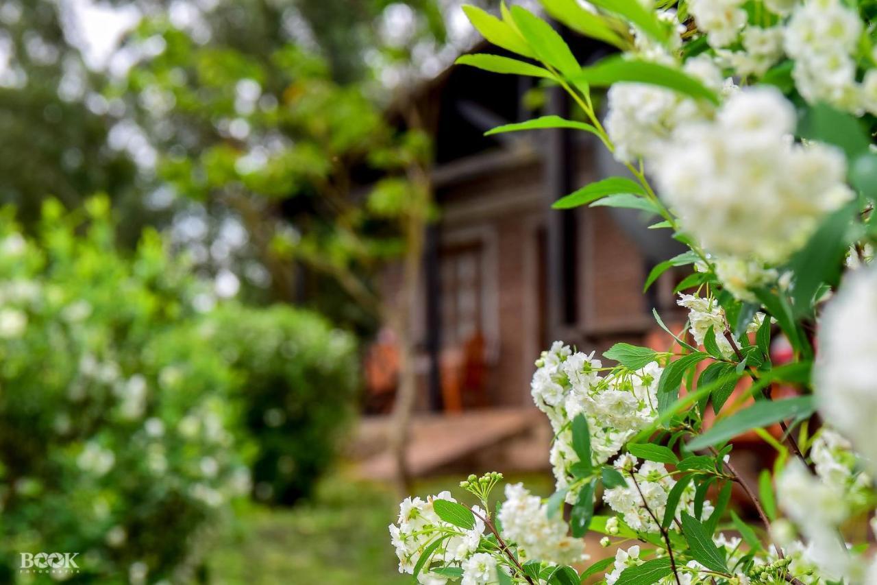 Hotel Las Azaleas Jardín América Eksteriør bilde